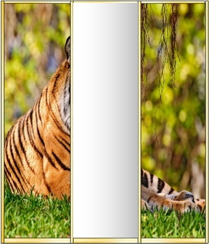 средняя секция - зеркало средняя секция шкафа - зеркало